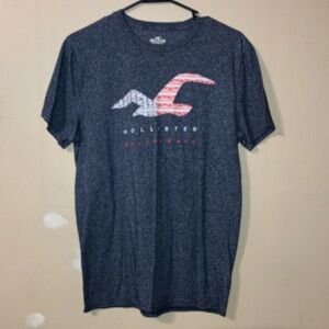 Hollister, medium, blue